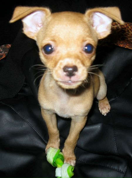 Дімон Ткаченко фото №31