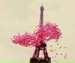 Анна Нікітчук фотография #41 (источник - https://vk.com/id62862399)