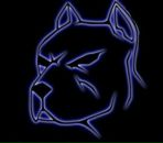 Фотография Горна Эдуарда