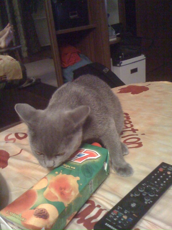 Евгений Упитер фотография #35