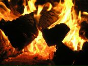 Фотография Сашина Даниила