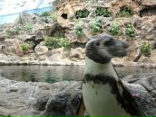 Дмитрий Мельников фотография #3 (источник - https://vk.com/id14431313)