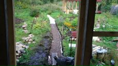 Дмитрий Крамарев фотография #9 (источник - https://vk.com/id274882)