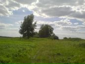 Фотография Думченкова Виталика