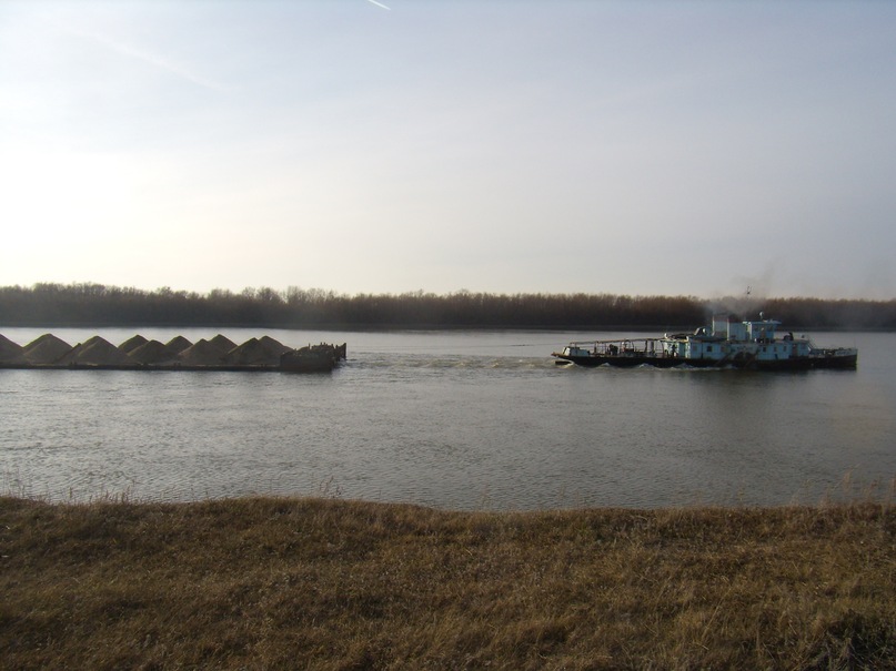 Антон Панов фотография #41