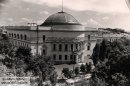 Сашуня Шустик фотография #18 (источник - https://vk.com/id15881839)