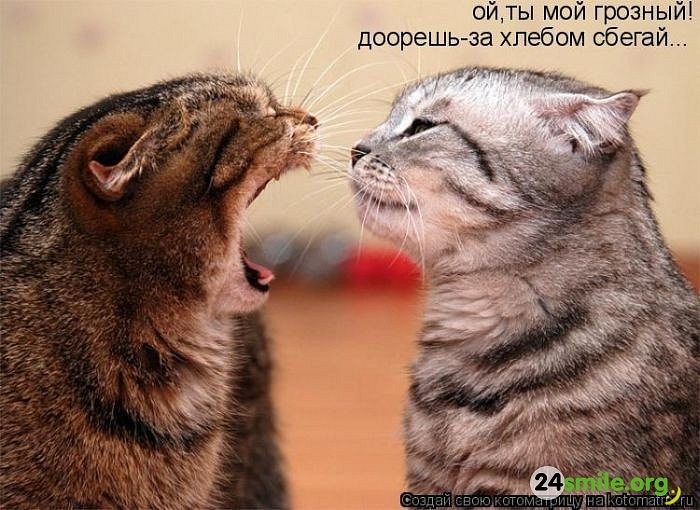 Ivan Vik фотография #13