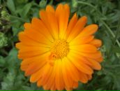 Надя Юрків фотография #1