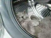 Колян Стафійчук фотография #10 (источник - https://vk.com/id71803050)