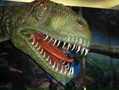 Фотография Корюкина Игоря