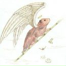 Фотография Осипова Вячеслава