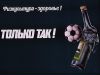  фотография #46