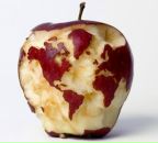 Inna Kovalenko фотография #28 (источник - https://vk.com/id5386675)