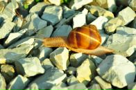 Анна Тарасенко фотография #22 (источник - https://vk.com/id471985)