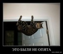 Сашко Піскун фотография #24 (источник - https://vk.com/id150759131)
