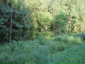 Фотография Фроловой Стаси