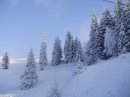 Іван Терешкевич фотография #17 (источник - https://vk.com/id58632515)