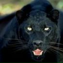 Фотография Пушкинской Ирины