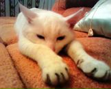 Фотография Борисовой Ольги