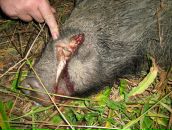 Юрий Ткаченко фотография #43 (источник - https://vk.com/id3875400)