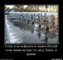 Іван Олійник фотография #11 (источник - https://vk.com/id67929266)