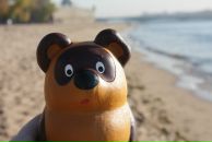 Фотография Мельниковой Ангелины