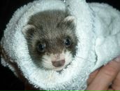 Фотография Мартыненко Юли