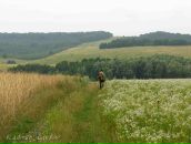 Антон Мищенко фотография #23 (источник - https://vk.com/id21482463)