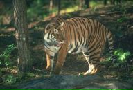 Фотография Касаткина Владимира