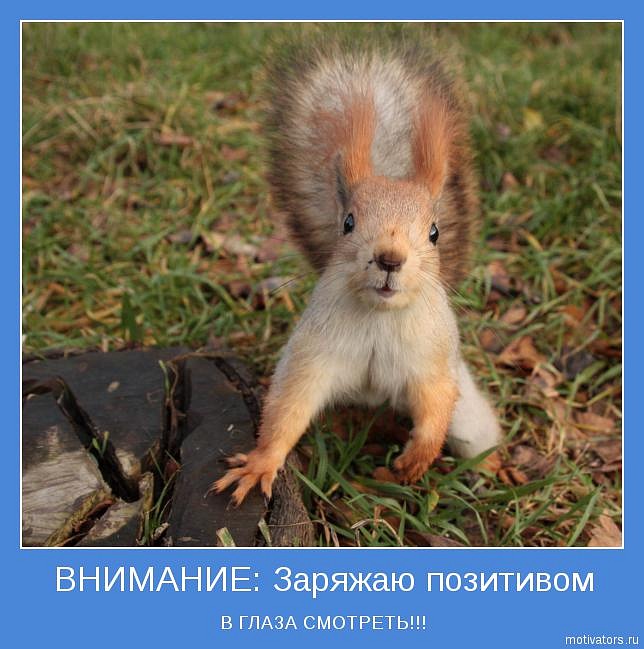 Ivan Vik фотография #2