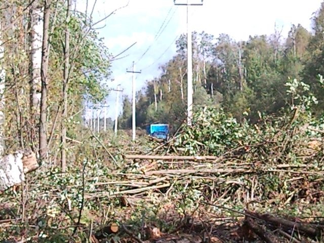 Сергей Адов фотография #20