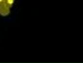 Вікуся Зарицька фотография #6 (источник - https://vk.com/id24280558)