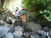 Irina Gitelman фотография #42 (источник - https://vk.com/id3282869)