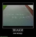 Ілоха Позитифне фотография #32 (источник - https://vk.com/id73936481)