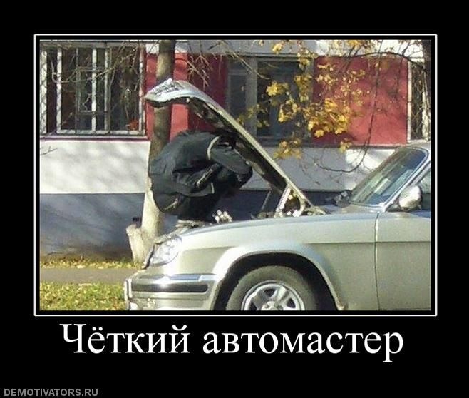 Сергей Карабиневич фотография #35