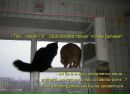Сергій Богусевич фотография #36 (источник - https://vk.com/id63311509)