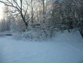 Фотография Вдовиченко Ирины