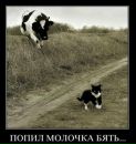 Саняwerevolf Сірко фотография #33 (источник - https://vk.com/id17585298)