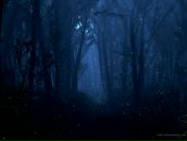 Фотография Демичевой Елены