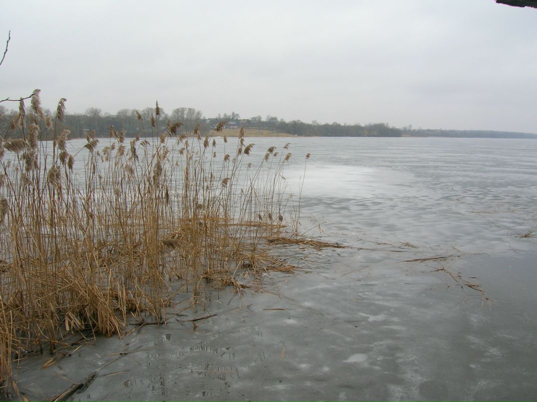 Антон Кропачев фотография #27