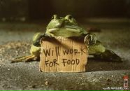 Russian Arthooligans фотография #8 (источник - https://vk.com/id27375449)