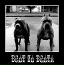 Зомбі Ферма фотография #1