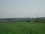 Міша Глушко фотография #10 (источник - https://vk.com/id136536157)