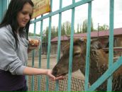 Фотография Волковой Евгении