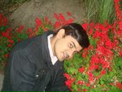 Фотография Pilania Vikki