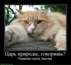 Фотография Алаторцева Кирилла