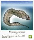 Андрій Орищак фотография #34 (источник - https://vk.com/id43615340)