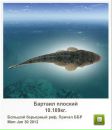 Андрій Орищак фотография #38 (источник - https://vk.com/id43615340)