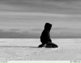 Фотография Трофимовой Ксю