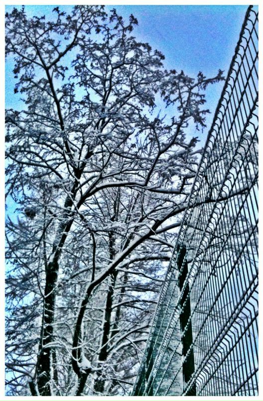 Сергей Петров фотография #43